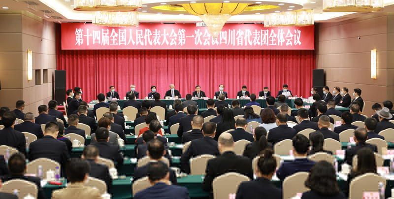 四川代表团举行全体会议 讨论通过代表团全团建议 王晓晖主持 黄强出席「相关图片」